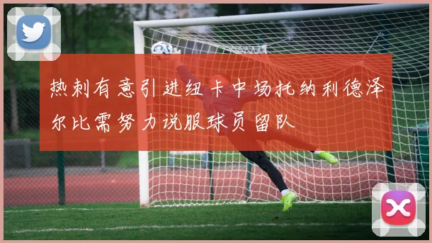 热刺有意引进纽卡中场托纳利德泽尔比需努力说服球员留队
