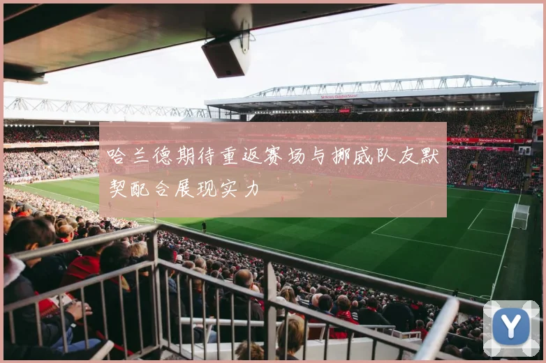 哈兰德期待重返赛场与挪威队友默契配合展现实力